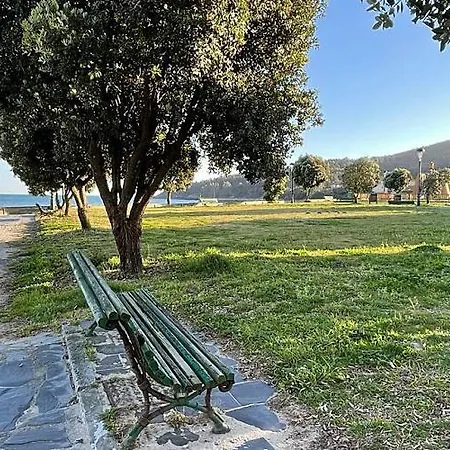 Bajaa